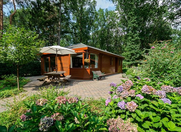 Verblijf 321721 • Vakantiewoning Veluwe • DroomPark Bospark Garderen