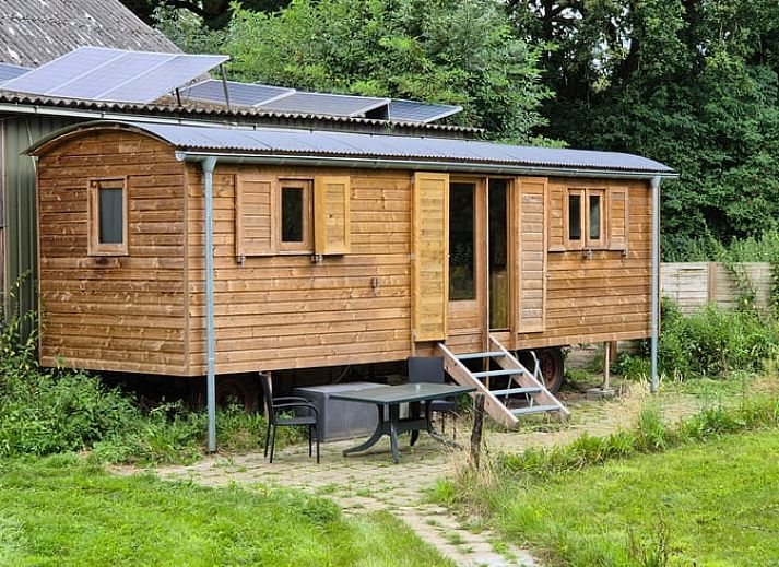 Unterkunft 321730 - Ferienhaus Veluwe - Vakantiehuis in Garderen