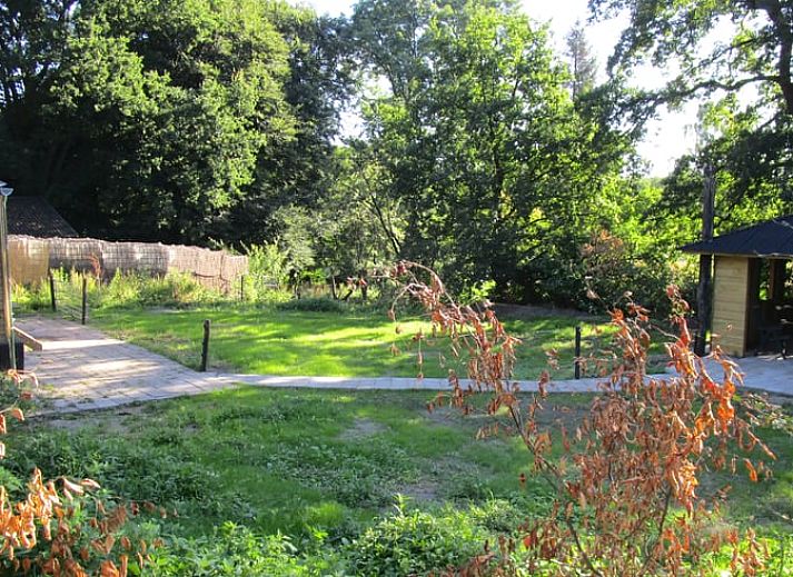 Unterkunft 321730 - Ferienhaus Veluwe - Vakantiehuis in Garderen
