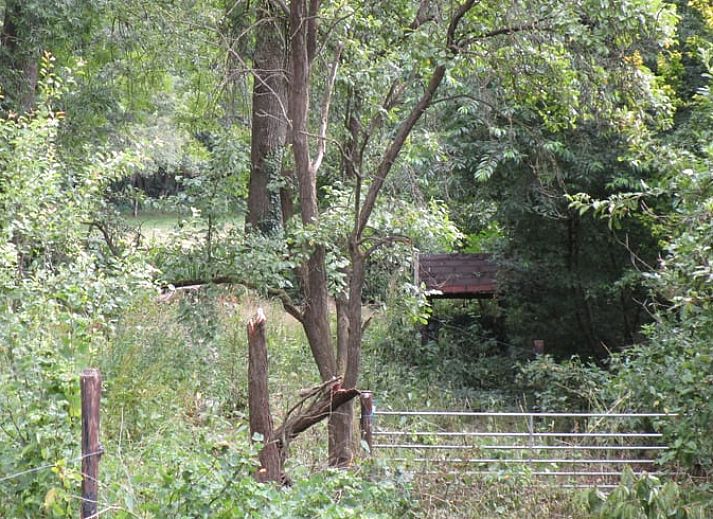 Unterkunft 321730 - Ferienhaus Veluwe - Vakantiehuis in Garderen