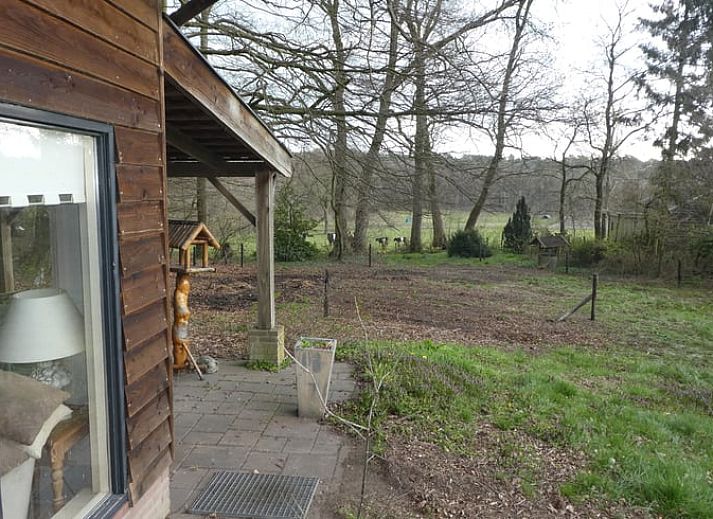 Unterkunft 321739 - Ferienhaus Veluwe - Vakantiehuisje in Garderen