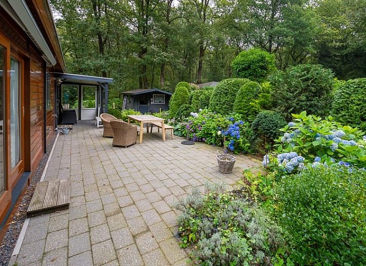 Unterkunft 321740 - Ferienhaus Veluwe - Huisje in Garderen