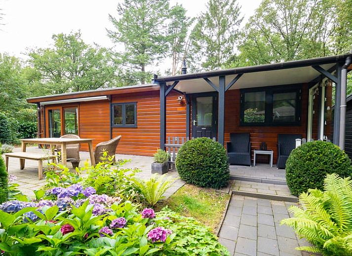 Unterkunft 321740 - Ferienhaus Veluwe - Huisje in Garderen