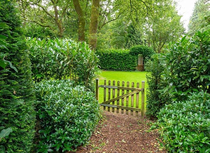 Unterkunft 321740 - Ferienhaus Veluwe - Huisje in Garderen