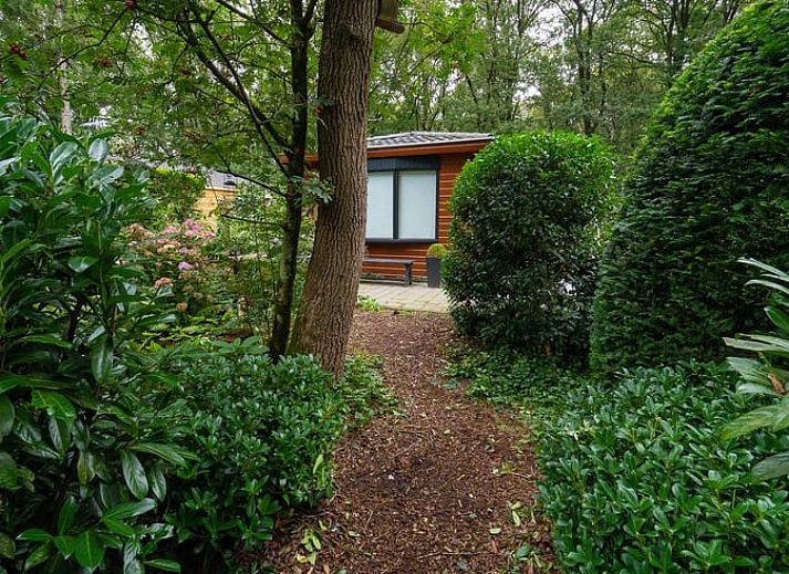 Unterkunft 321740 - Ferienhaus Veluwe - Huisje in Garderen