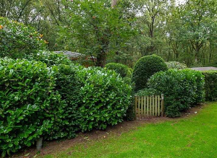 Unterkunft 321740 - Ferienhaus Veluwe - Huisje in Garderen