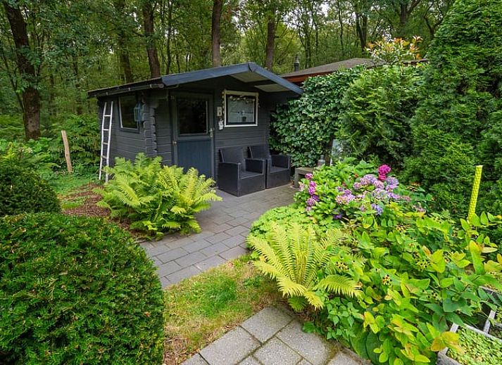 Unterkunft 321740 - Ferienhaus Veluwe - Huisje in Garderen