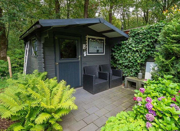 Unterkunft 321740 - Ferienhaus Veluwe - Huisje in Garderen