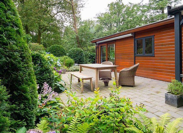 Unterkunft 321740 - Ferienhaus Veluwe - Huisje in Garderen