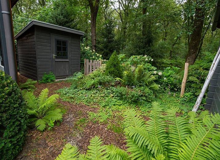 Unterkunft 321740 - Ferienhaus Veluwe - Huisje in Garderen