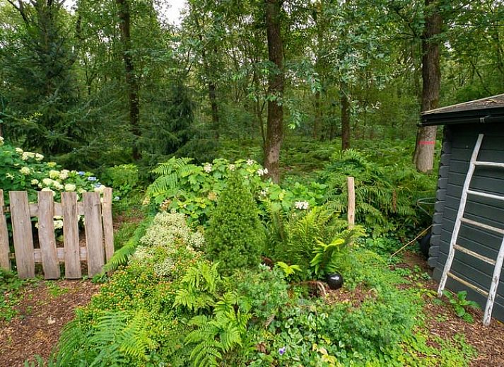 Unterkunft 321740 - Ferienhaus Veluwe - Huisje in Garderen