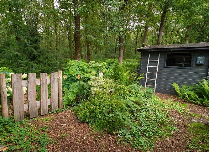 Unterkunft 321740 - Ferienhaus Veluwe - Huisje in Garderen