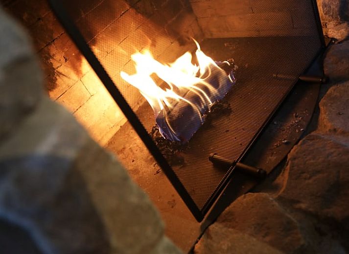 Veranda von Cottage in Garderen, Ferienhaus in der Veluwe, Gelderland, mit einer gemuetlichen Terrasse und gruener Umgebung.
