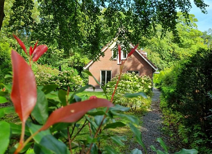 Verblijf 321746 • Vakantiewoning Veluwe • Huisje in Garderen 