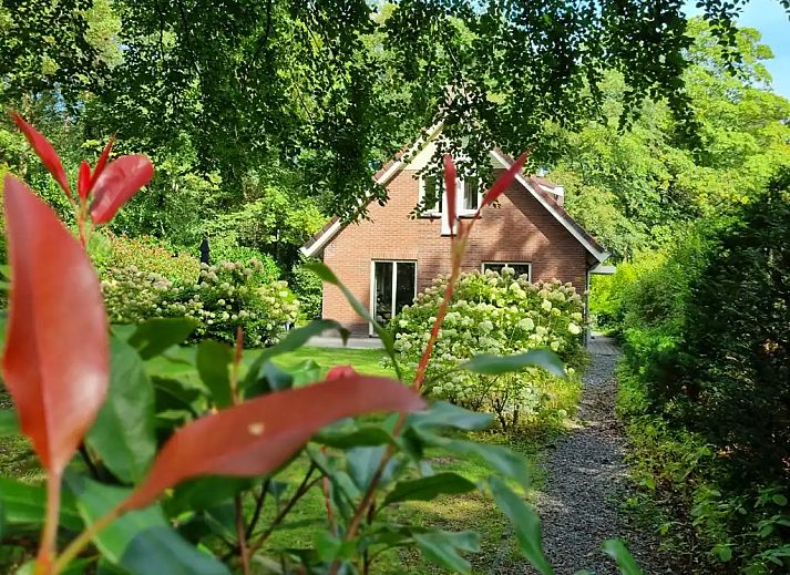 Unterkunft 321755 - Bungalow Veluwe - Bosbungalow Garderen