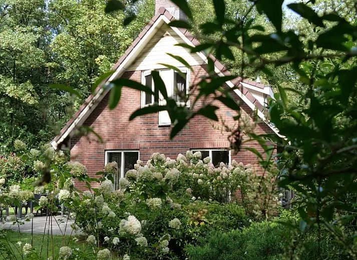 Unterkunft 321755 - Bungalow Veluwe - Bosbungalow Garderen