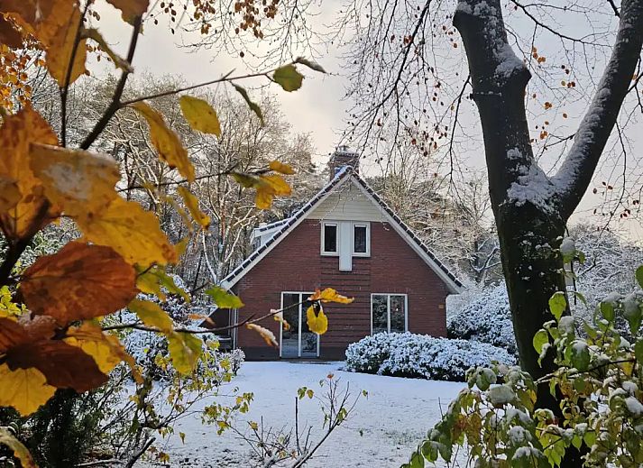 Unterkunft 321755 - Bungalow Veluwe - Bosbungalow Garderen