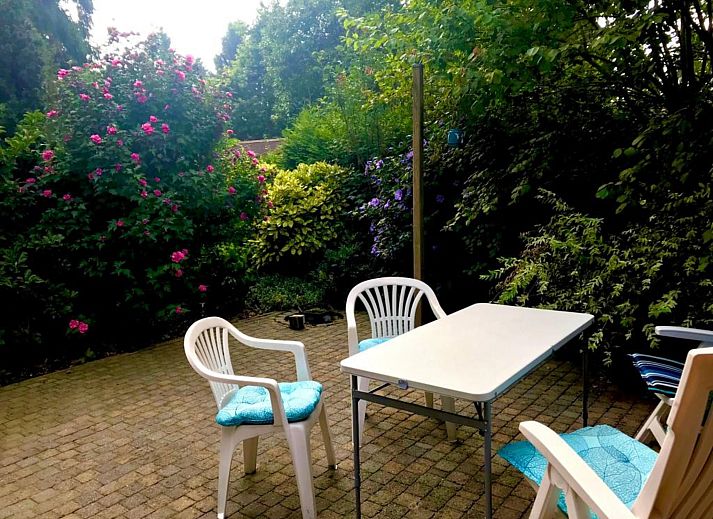 Guest house 321761 - Chalet Veluwe - Chalet 'Bosanemoon'