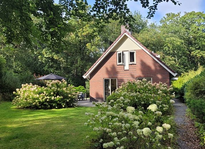 Huisje in Garderen, vakantiehuis omgeven door Veluwse natuur in Gelderland.