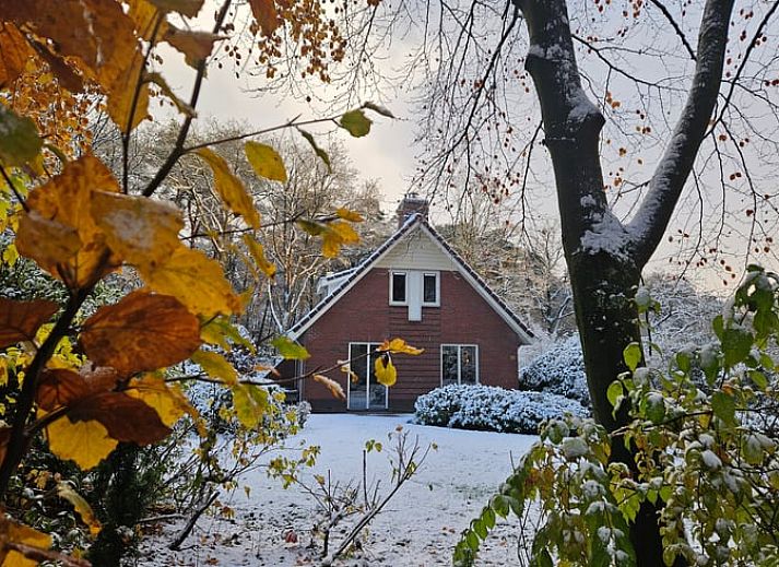 Huisje in Garderen, vakantiehuis omgeven door Veluwse natuur in Gelderland.