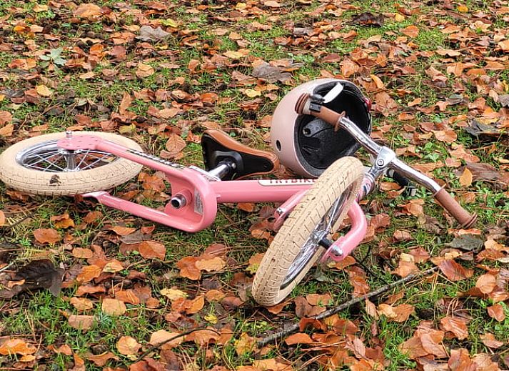 Gezellige tuin bij Huisje in Garderen, vakantieverblijf op de Veluwe, Gelderland.