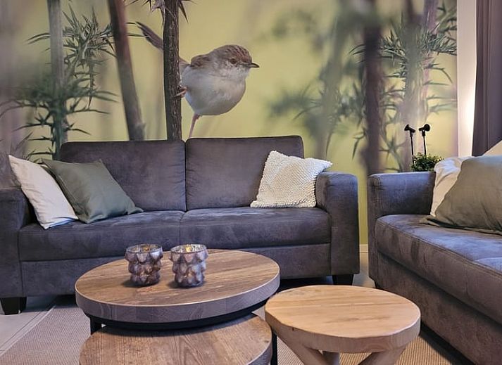 Gezellige tuin bij Huisje in Garderen, vakantieverblijf op de Veluwe, Gelderland.