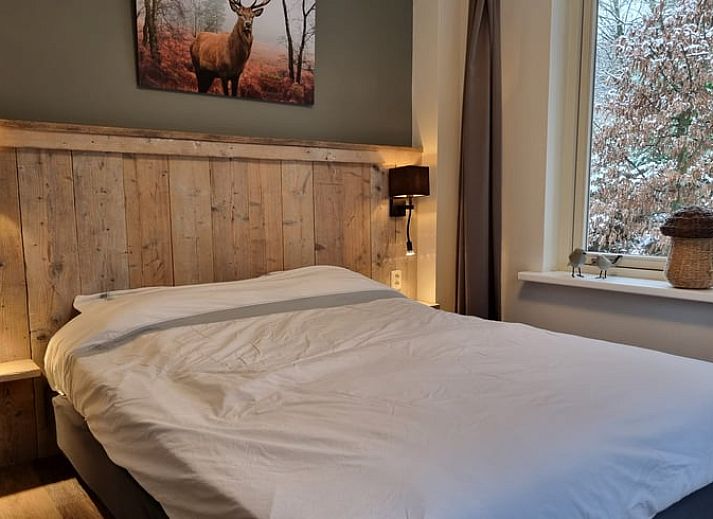 Kinderfietsje in de tuin van Huisje in Garderen, Veluwse vakantie, Gelderland.