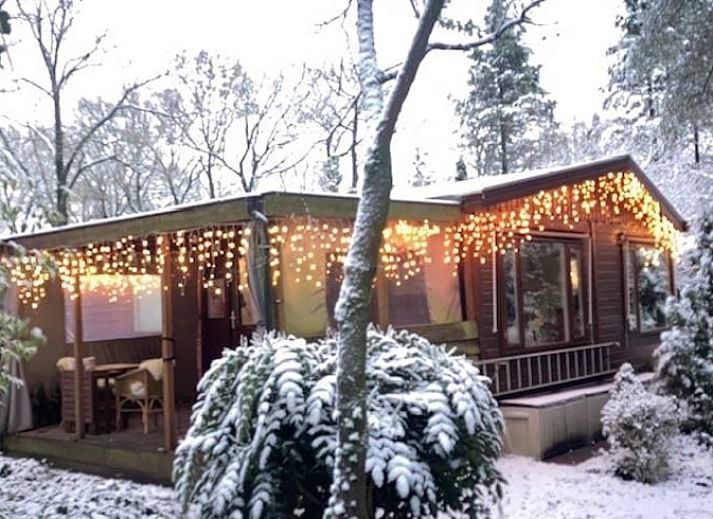 Vakantiehuisje in Garderen met sfeervolle veranda, omringd door besneeuwde natuur op de Veluwe, Gelderland.