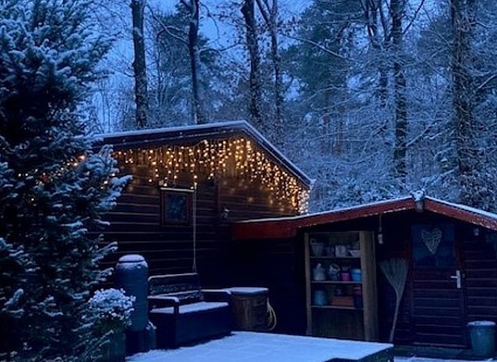 Vakantiehuisje in Garderen met sfeervolle veranda, omringd door besneeuwde natuur op de Veluwe, Gelderland.