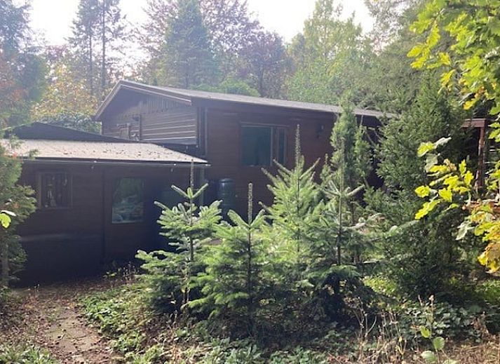 Vakantiehuisje in Garderen met sfeervolle veranda, omringd door besneeuwde natuur op de Veluwe, Gelderland.