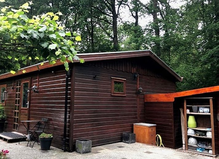 Vakantiehuisje in Garderen met sfeervolle veranda, omringd door besneeuwde natuur op de Veluwe, Gelderland.