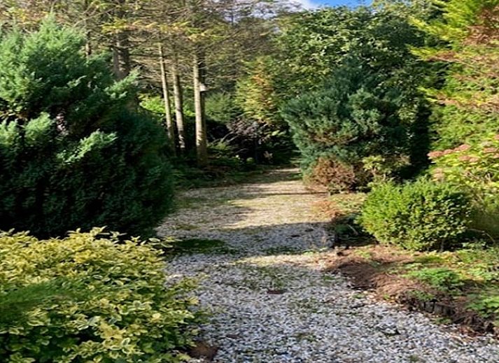 Vakantiehuisje in Garderen te midden van groene natuur op de Veluwe, perfect voor een rustige vakantie in Gelderland.