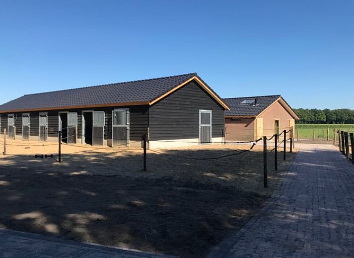 Ontspannen op het terras van Vakantiehuisje in Garderen, Veluwe, met comfortabele loungebanken.