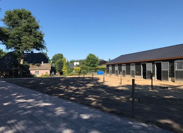 Ontspannen op het terras van Vakantiehuisje in Garderen, Veluwe, met comfortabele loungebanken.