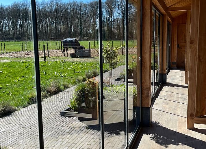 Prachtig uitzicht op de weilanden bij Vakantiehuisje in Garderen, Veluwe, met grazende paarden.