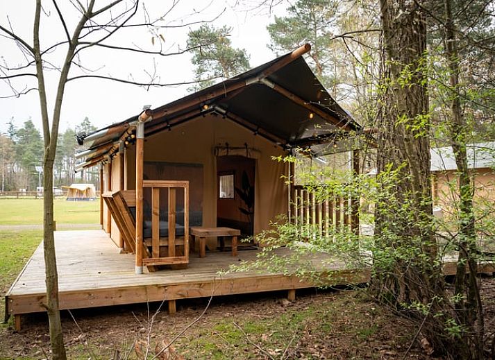 Guest house 321808 • Holiday property Veluwe • Vakantiehuisje in Elspeet 