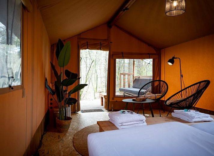 Guest house 321811 • Holiday property Veluwe • Huisje in Elspeet