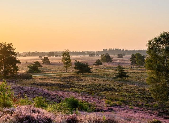 Stylish living room in Holiday home in Elspeet with modern kitchen, Veluwe, Gelderland.
