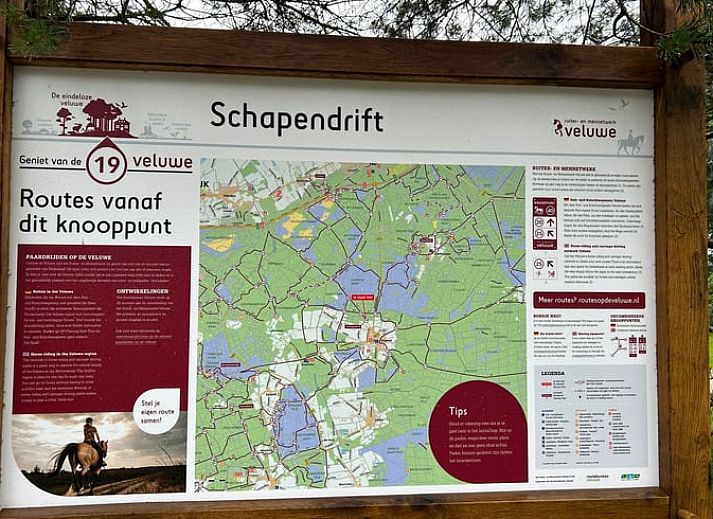 Comfortable sitting area in Holiday cottage in Elspeet, perfect for relaxation in Veluwe, Gelderland.