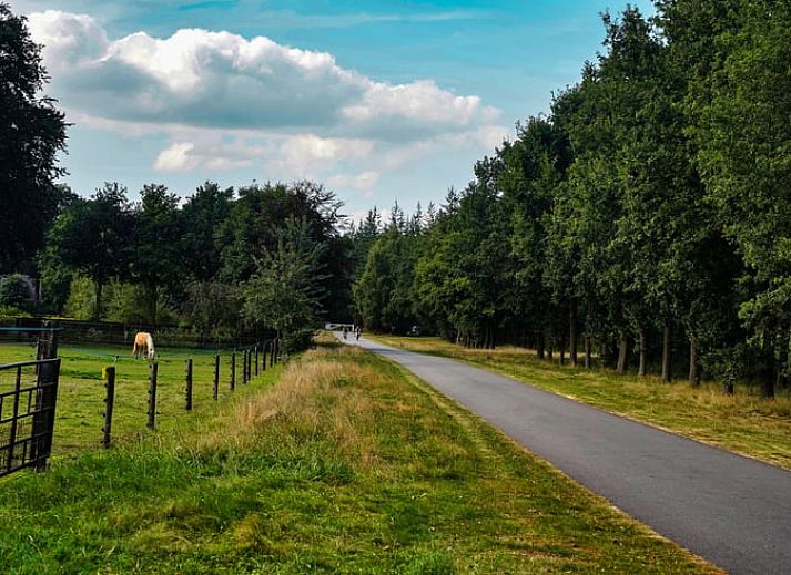 Unterkunft 321815 - Ferienhaus Veluwe - Huisje in Elspeet