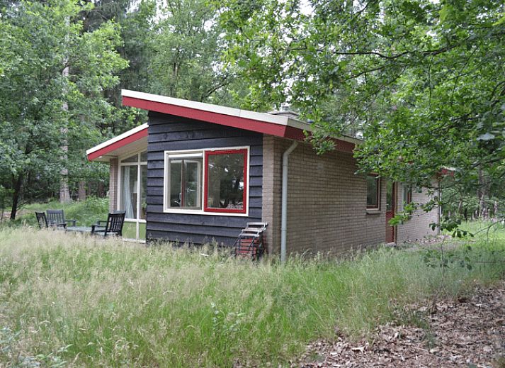 Ferienhaus in Elspeet an der Veluwe mit einladender Terrasse inmitten der Natur.