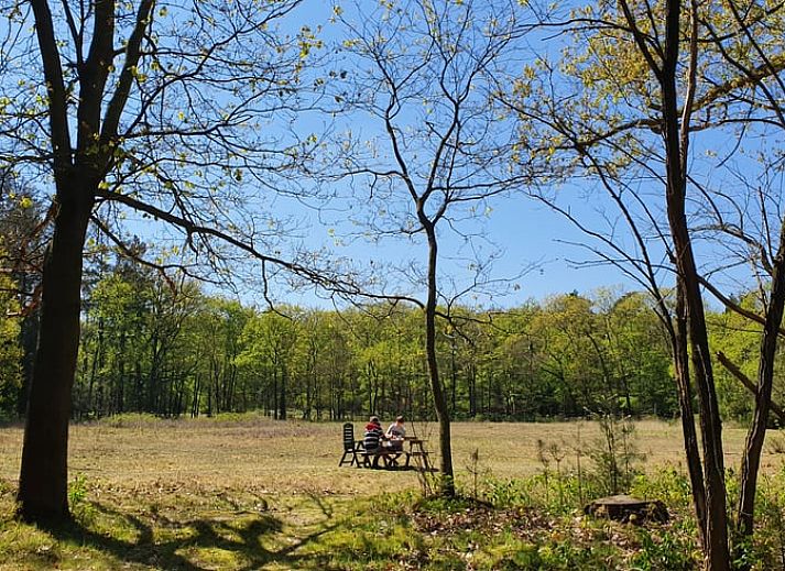 Gezellige woonkamer in Huisje in Elspeet, vakantieaccommodatie op de Veluwe, Gelderland.