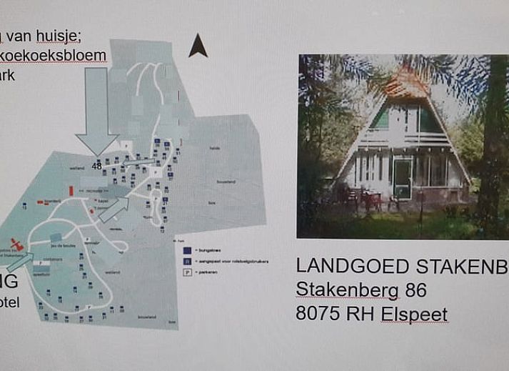 Prachtige natuur rondom Huisje in Elspeet, vakantieverblijf op de Veluwe, Gelderland.