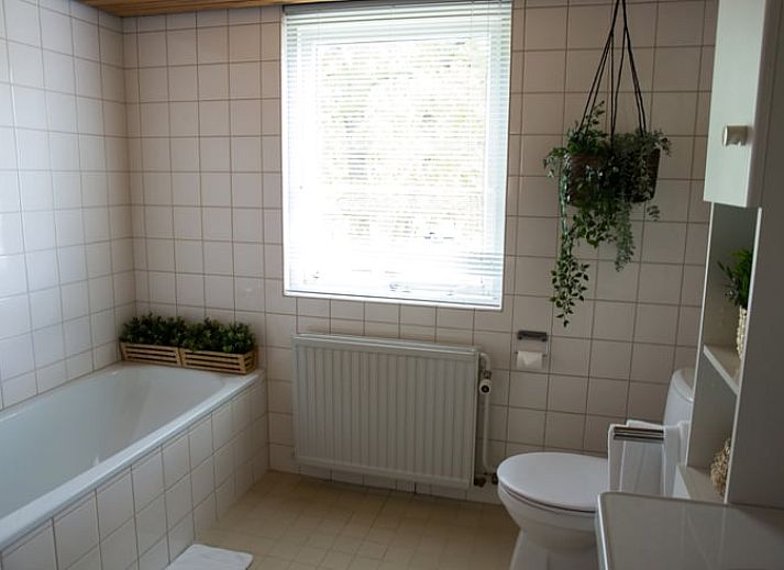 Unterkunft 321830 - Ferienhaus Veluwe - Vakantiehuis in Elspeet