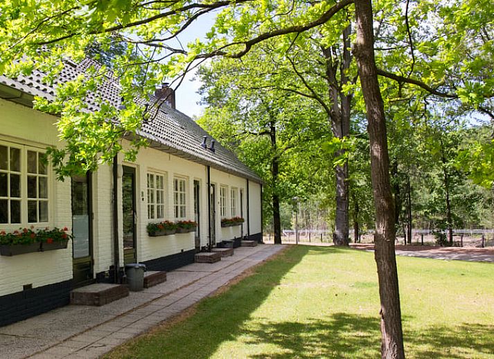 Geniet van de serene bosrijke omgeving op het terras van Huisje in Elspeet, een vakantiehuis op de Veluwe in Gelderland.