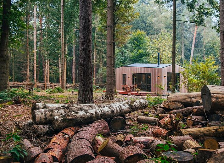 Guest house 321907 • Holiday property Veluwe • Vakantiehuis in 't Harde