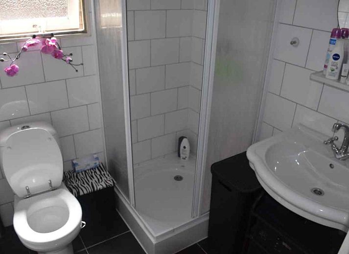 DG256 vacation home with terrace in Putten, Veluwe, Gelderland.