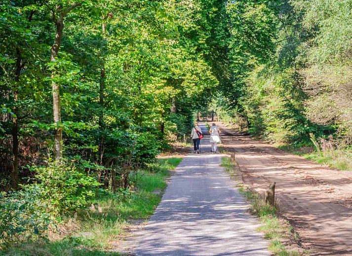 DG256 vacation home with terrace in Putten, Veluwe, Gelderland.