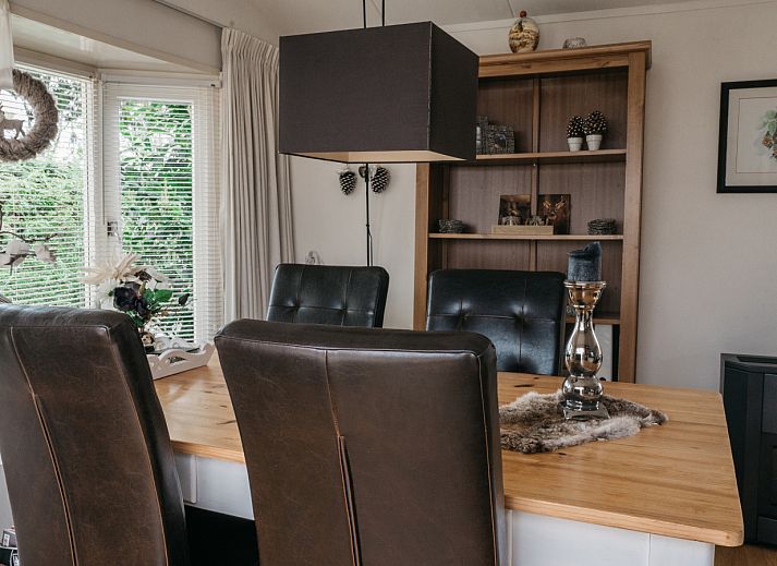 Hiking trail in nature near DG256 vacation home in Putten, Veluwe, Gelderland.