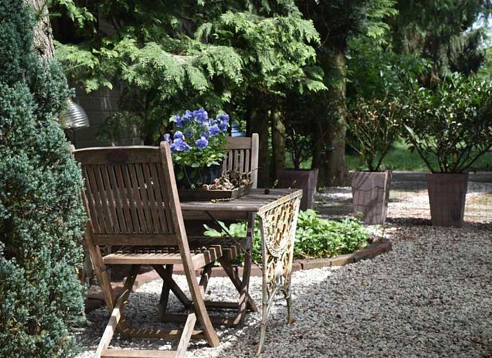Hiking trail in nature near DG256 vacation home in Putten, Veluwe, Gelderland.